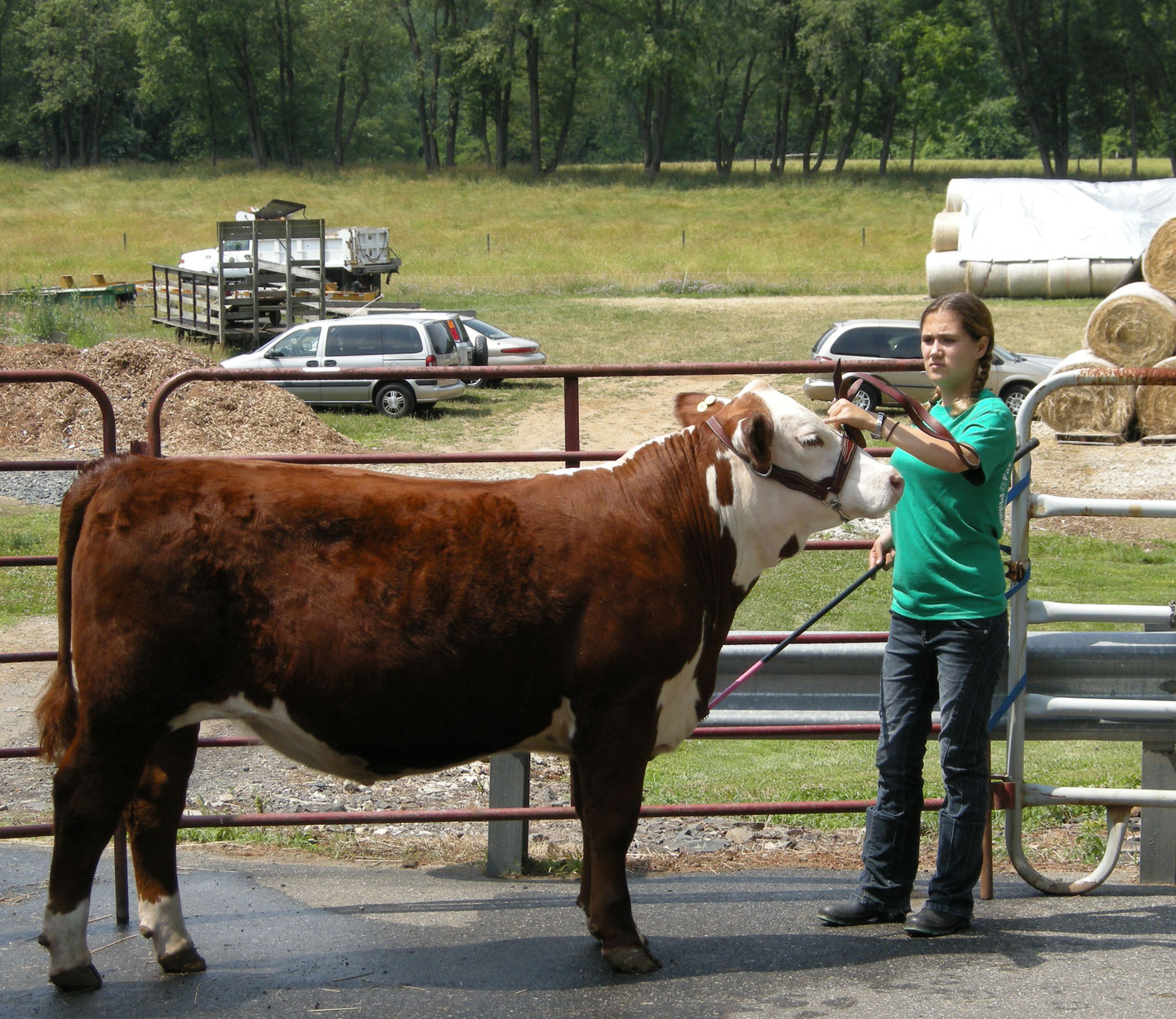 4H program at Fox Chase Farm