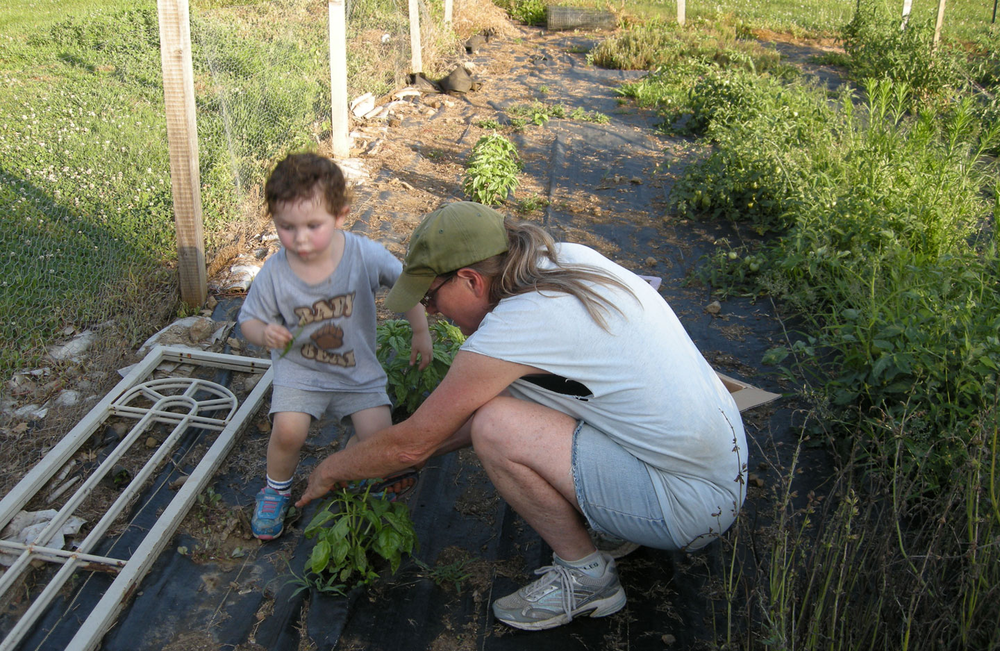 community garden at Fox Chase Farm