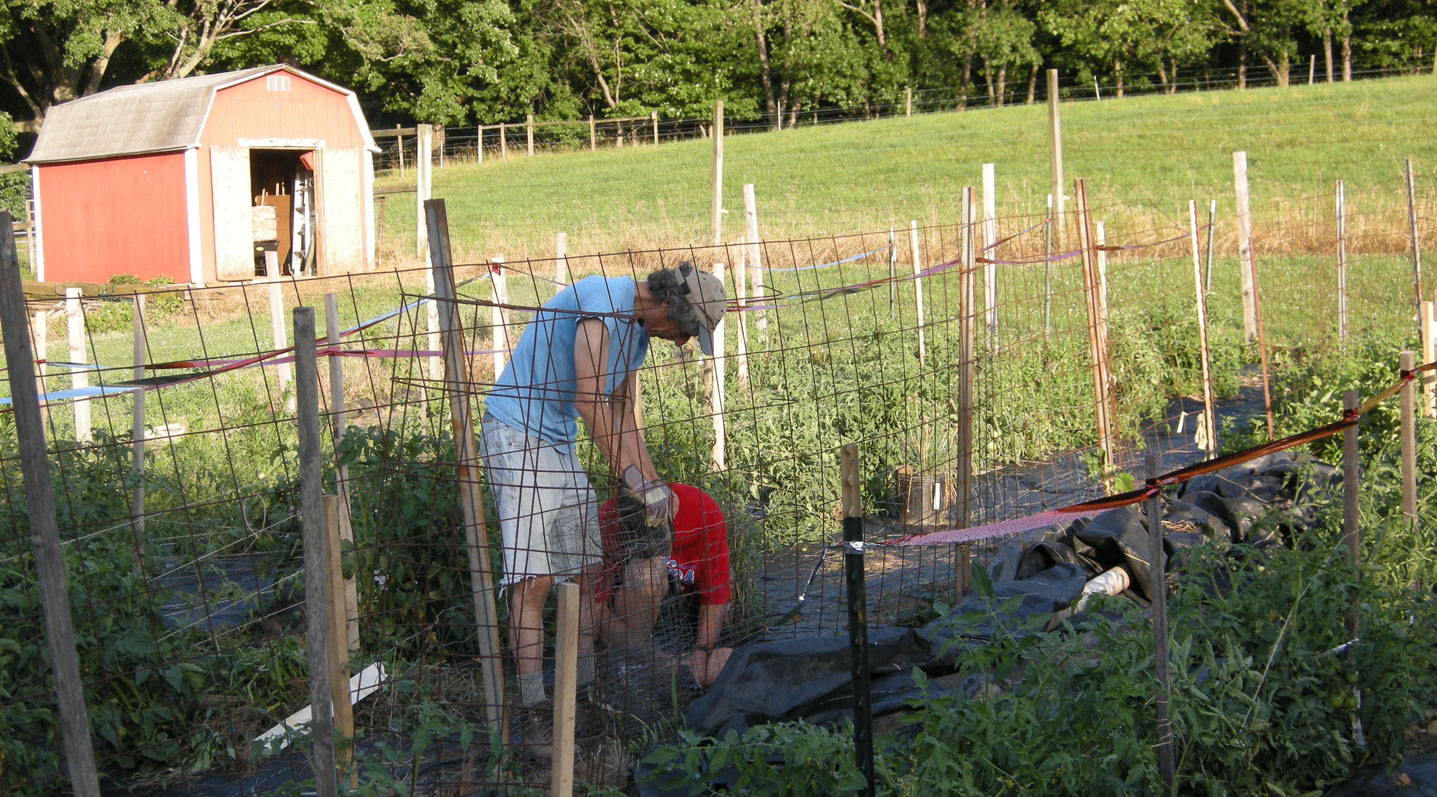 Community Garden at Fox Chase Farm